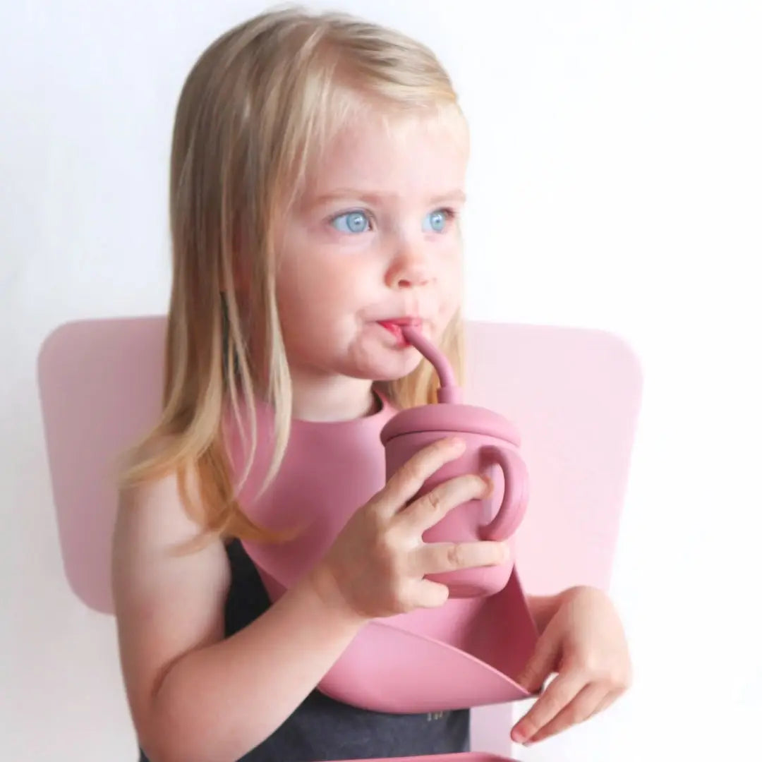 Silicone Bib - Dusty Rose