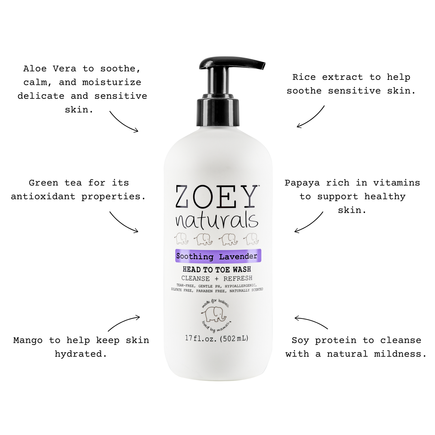 Soothing Lavender Head to Toe Wash - 17oz