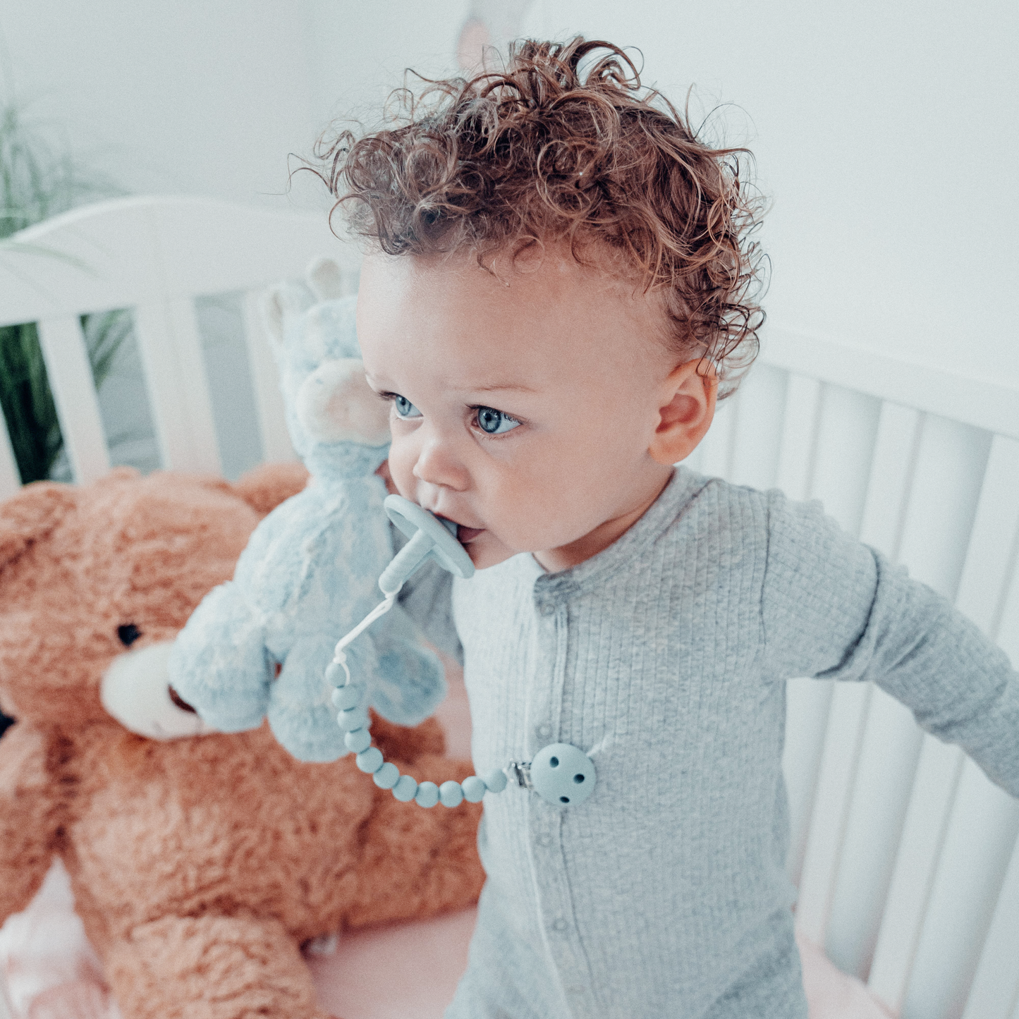 Pacifier Clips by Comfy Cubs