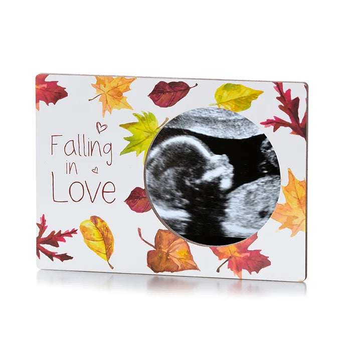 Magnetic Ultrasound Frames Falling in Love