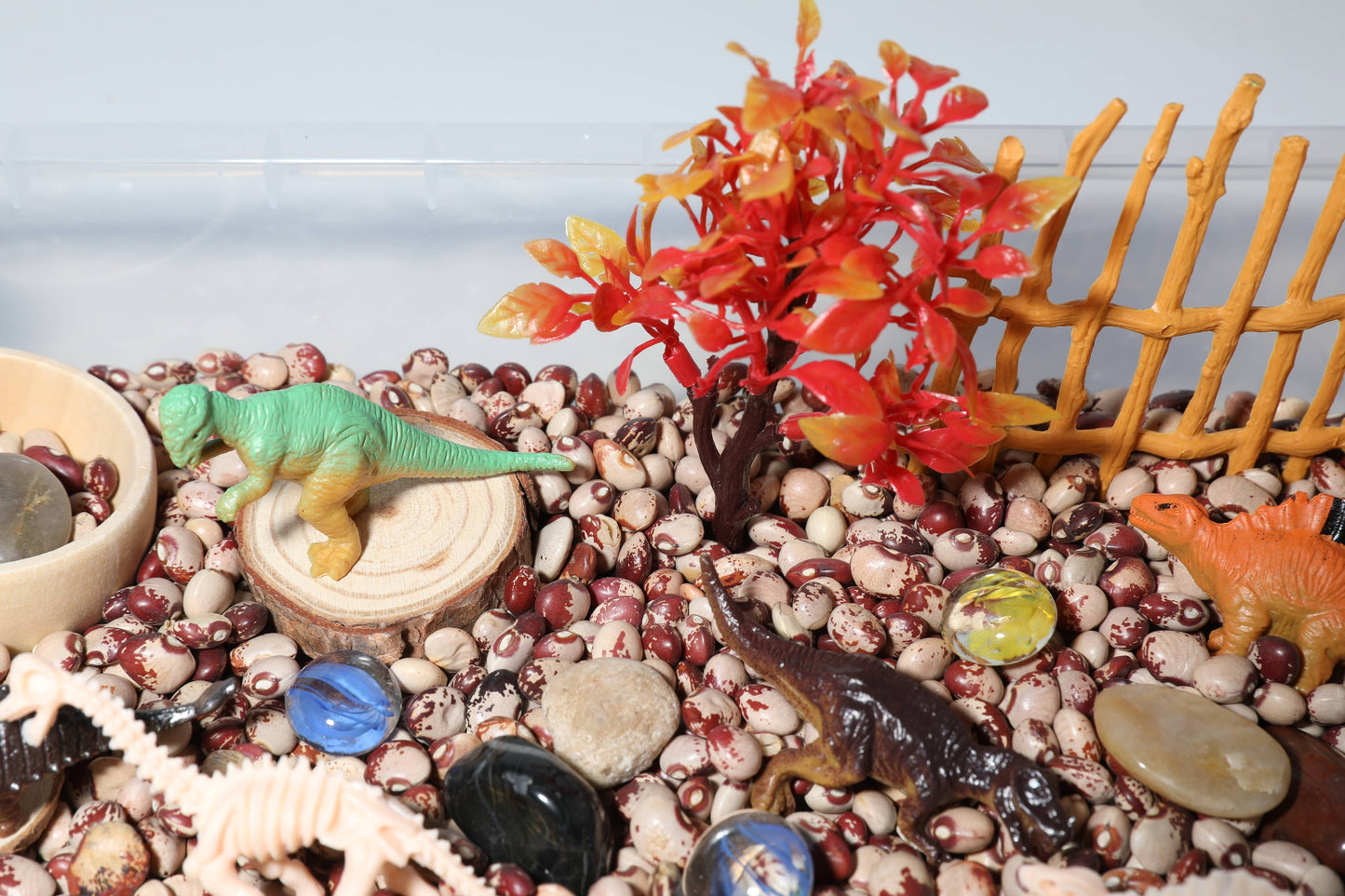 Sensory Bin Kit - Dinosaur