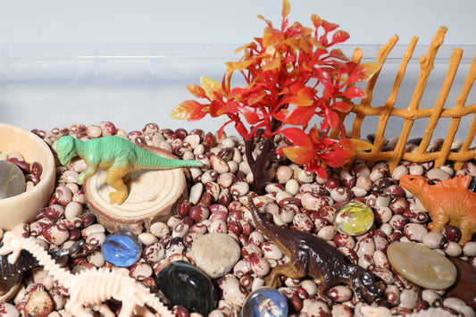 Sensory Bin Kit - Dinosaur
