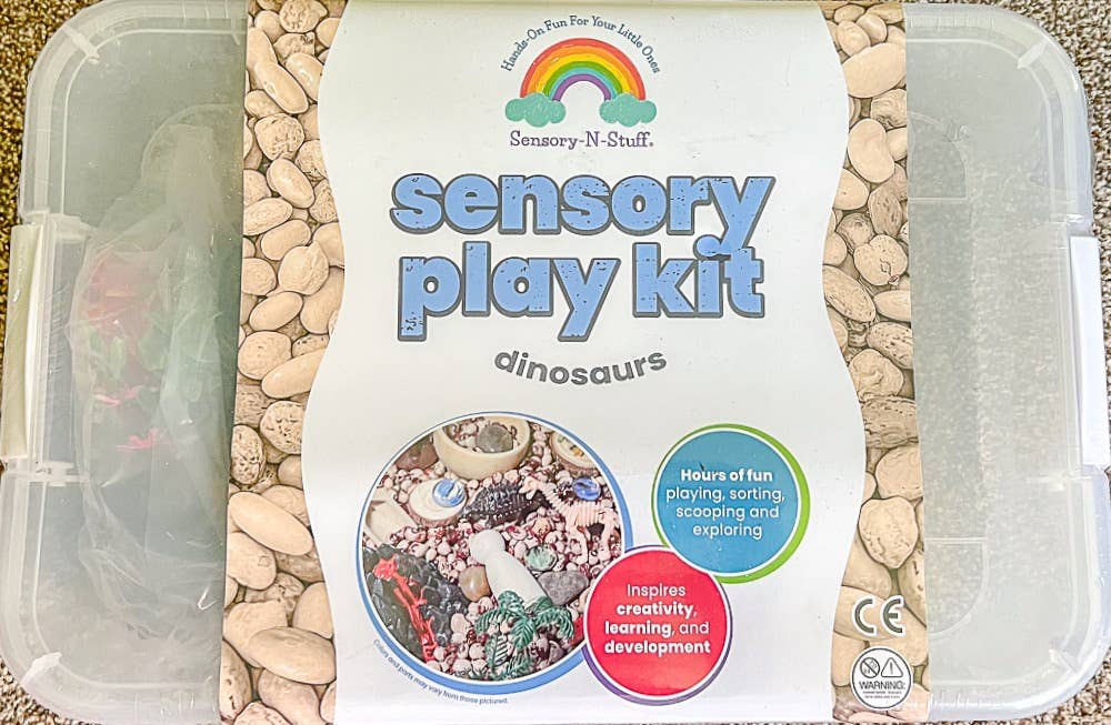 Sensory Bin Kit - Dinosaur