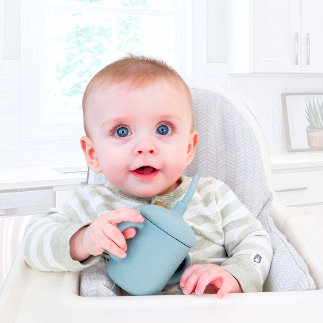 Sippy Cup with Straw, Spill-Proof & Anti-Stain - Dusty Rose