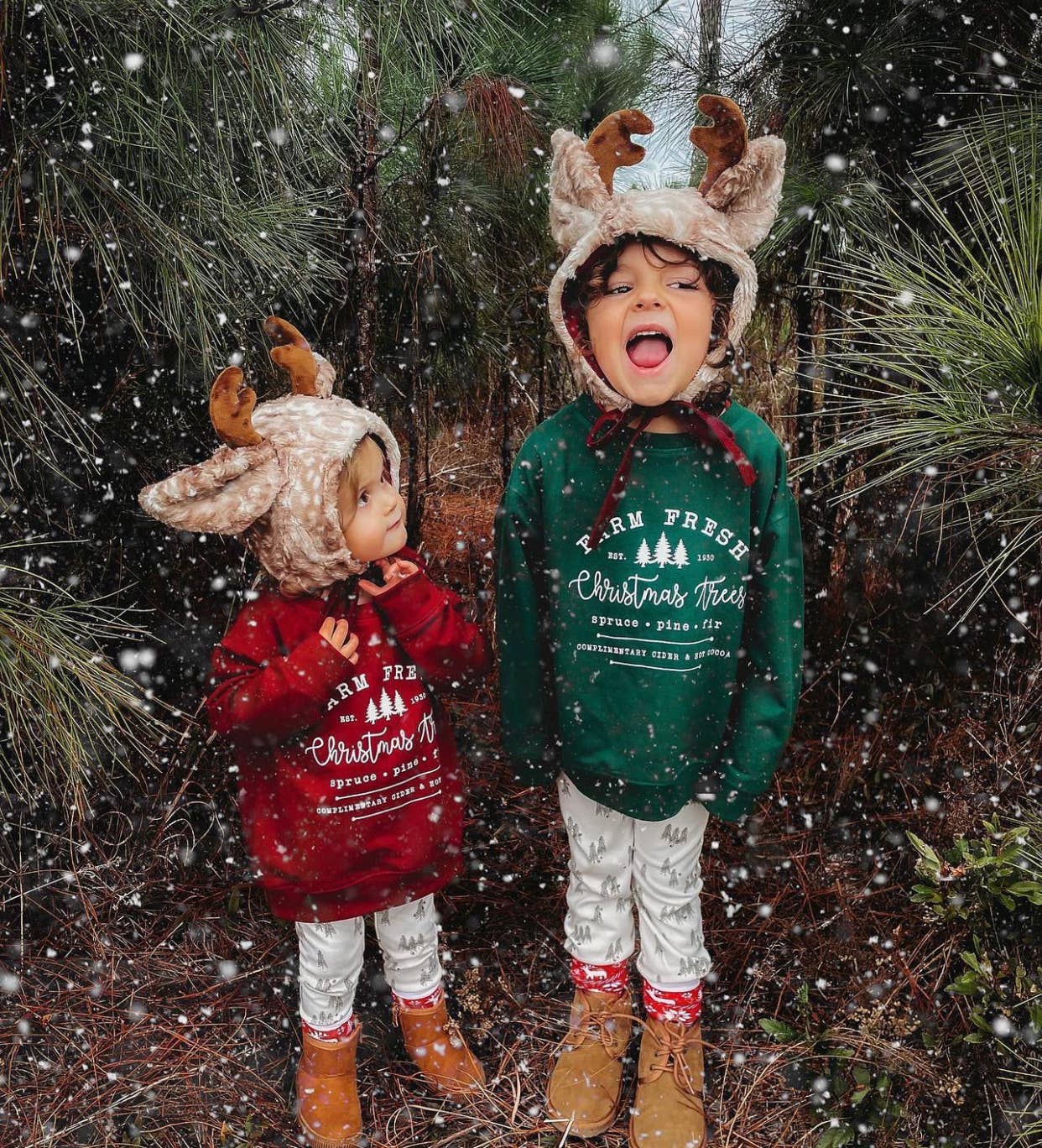 Fresh Farm | Kids & Adult Christmas Sweatshirt