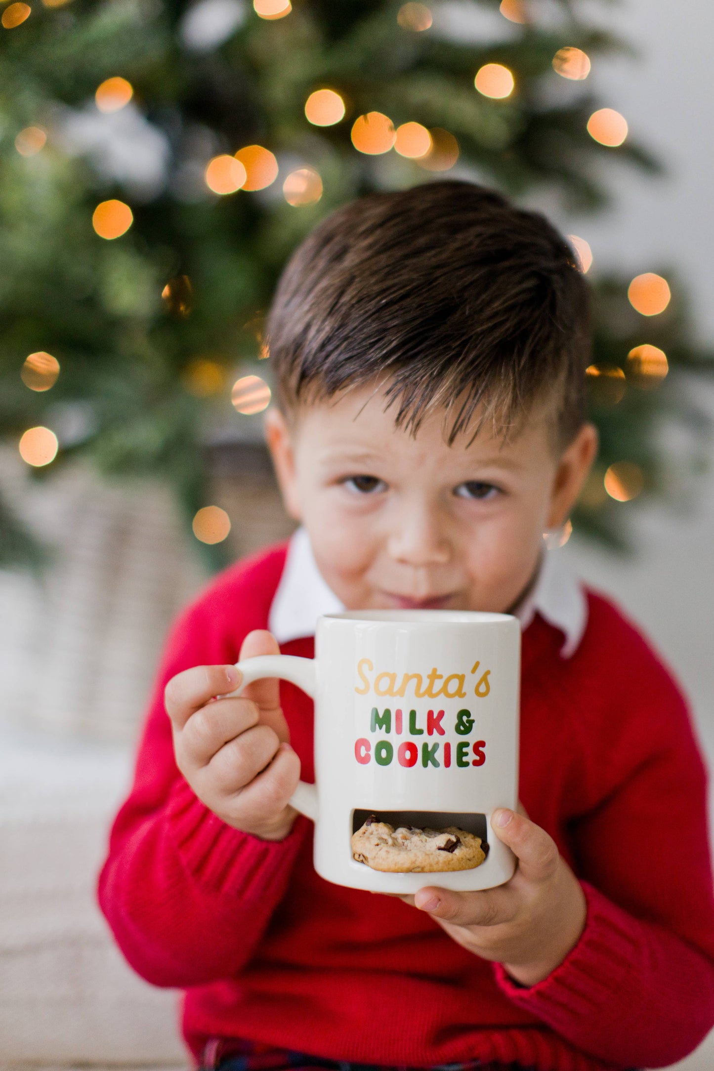 Santa’s Milk & Cookies Christmas Ceramic Mug, White